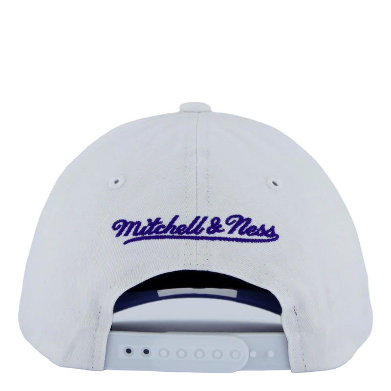 Gators All In Pro Snapback