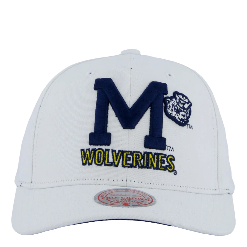 Wolverines All In Pro Snapback