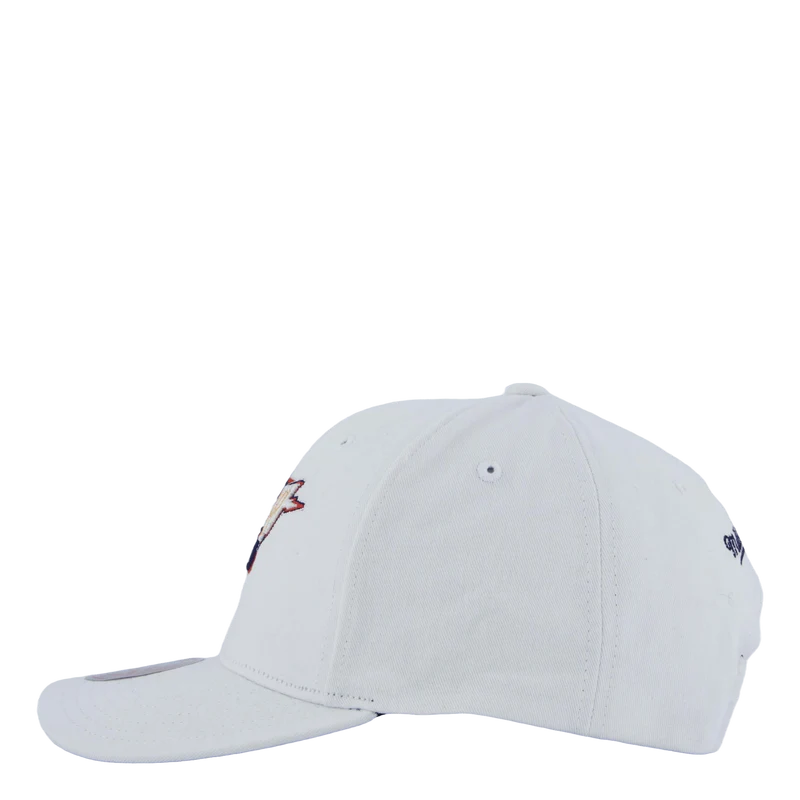 Warriors All In Pro Snapback HWC