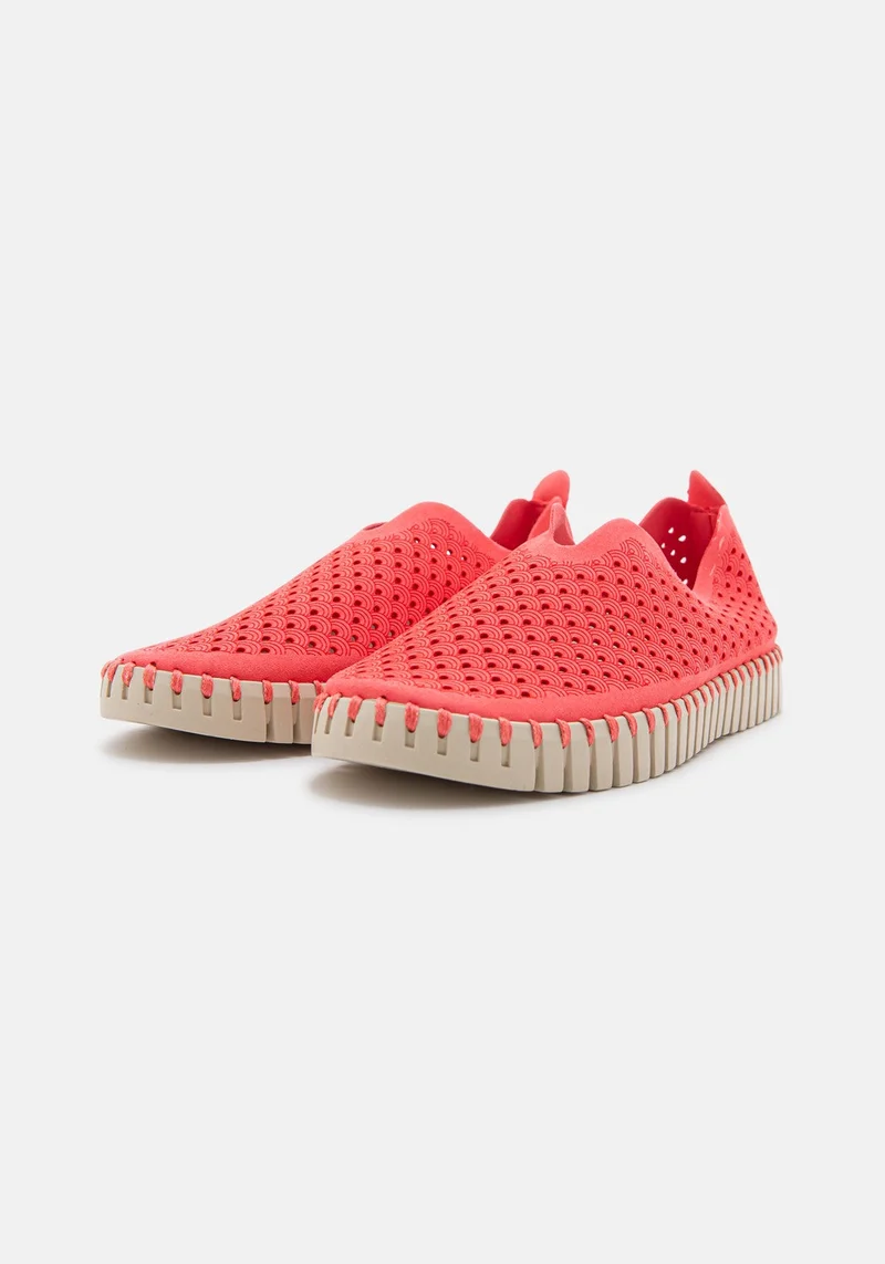Flats Tulip rasperry