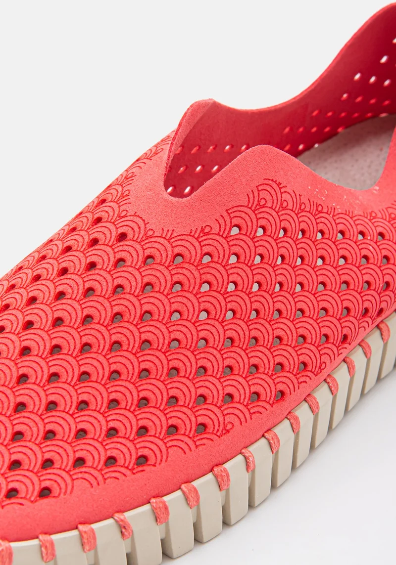 Flats Tulip rasperry