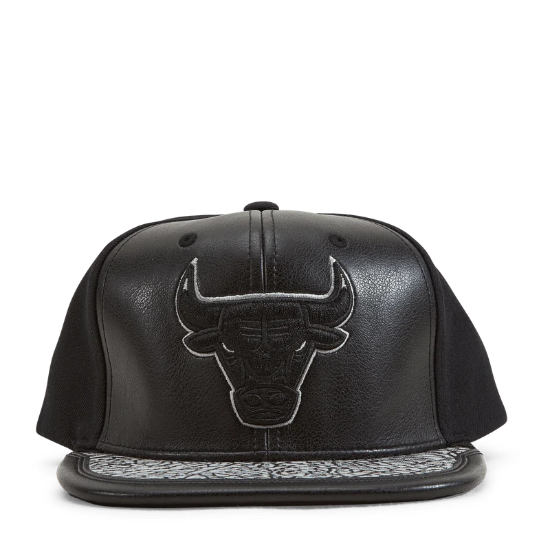 Bulls Day 1 Snapback