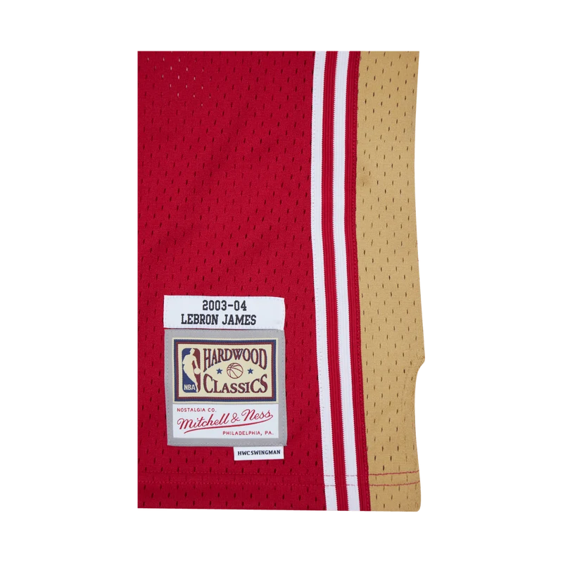 Swingman Jersey - LeBron James