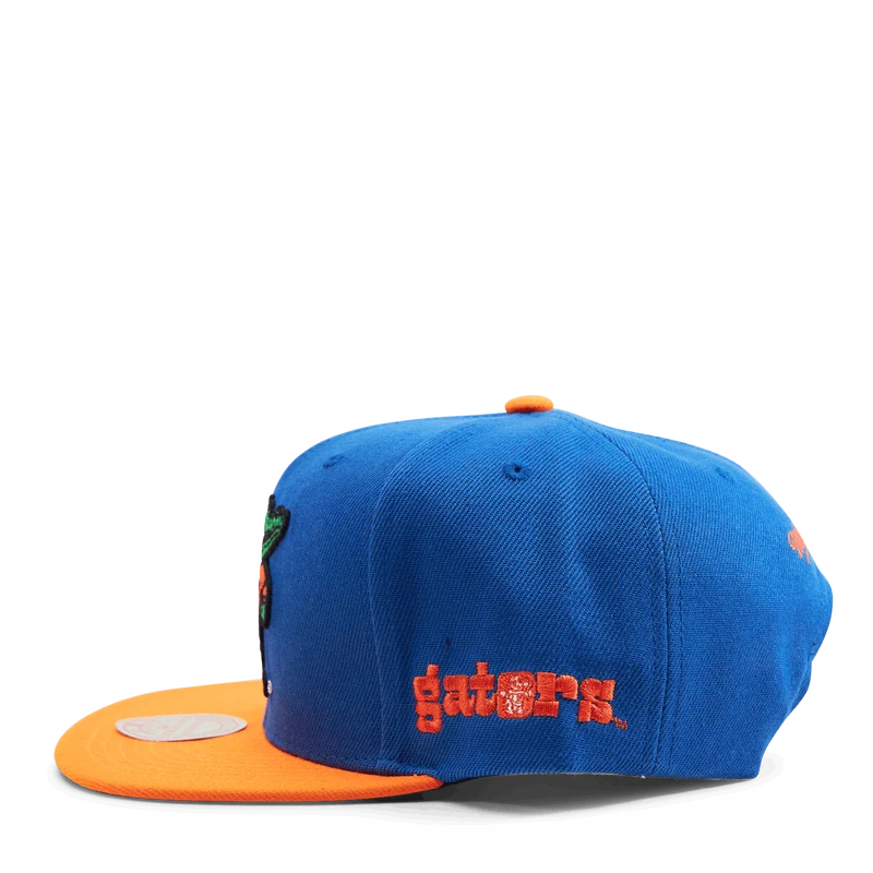 Gators Team Origins Snapback