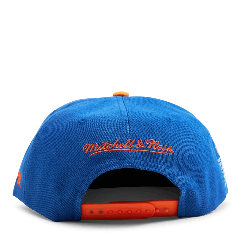 Gators Team Origins Snapback