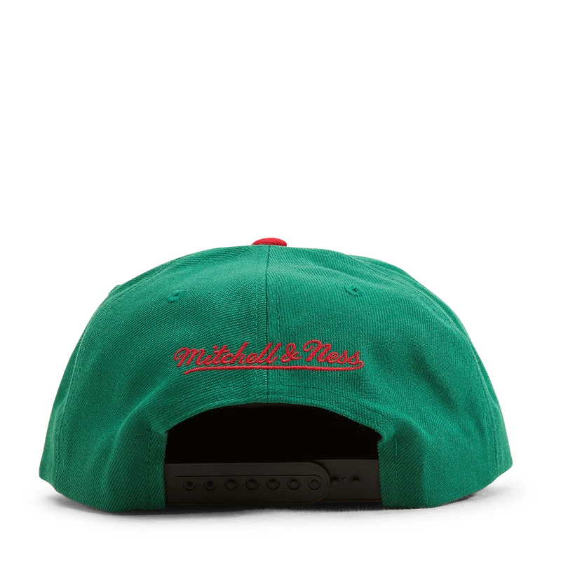 Bulls Day 1 Snapback