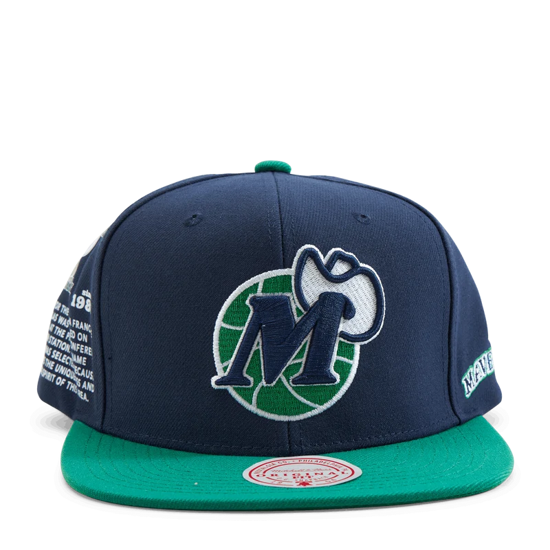 Team Origins Snapback HWC