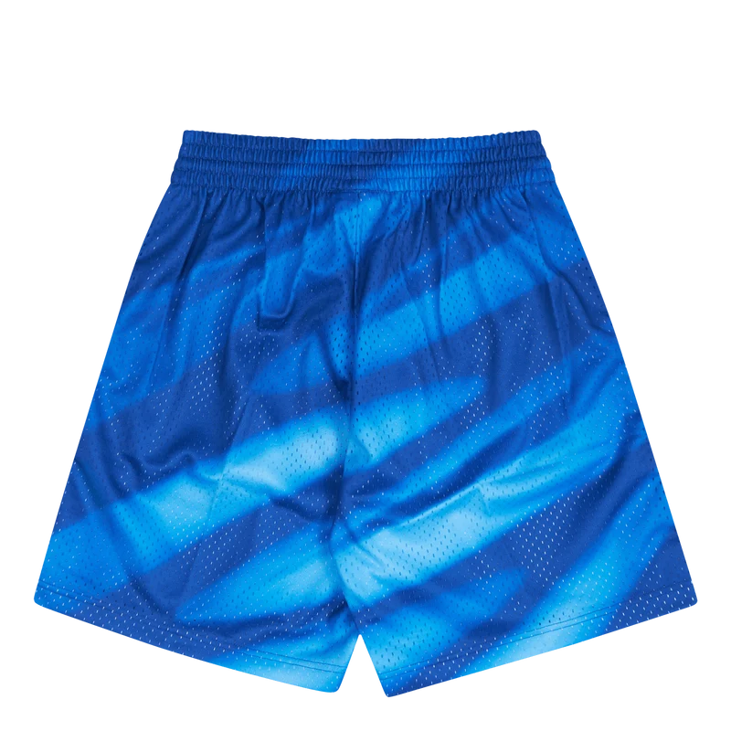 Nets Swingman Shorts 90