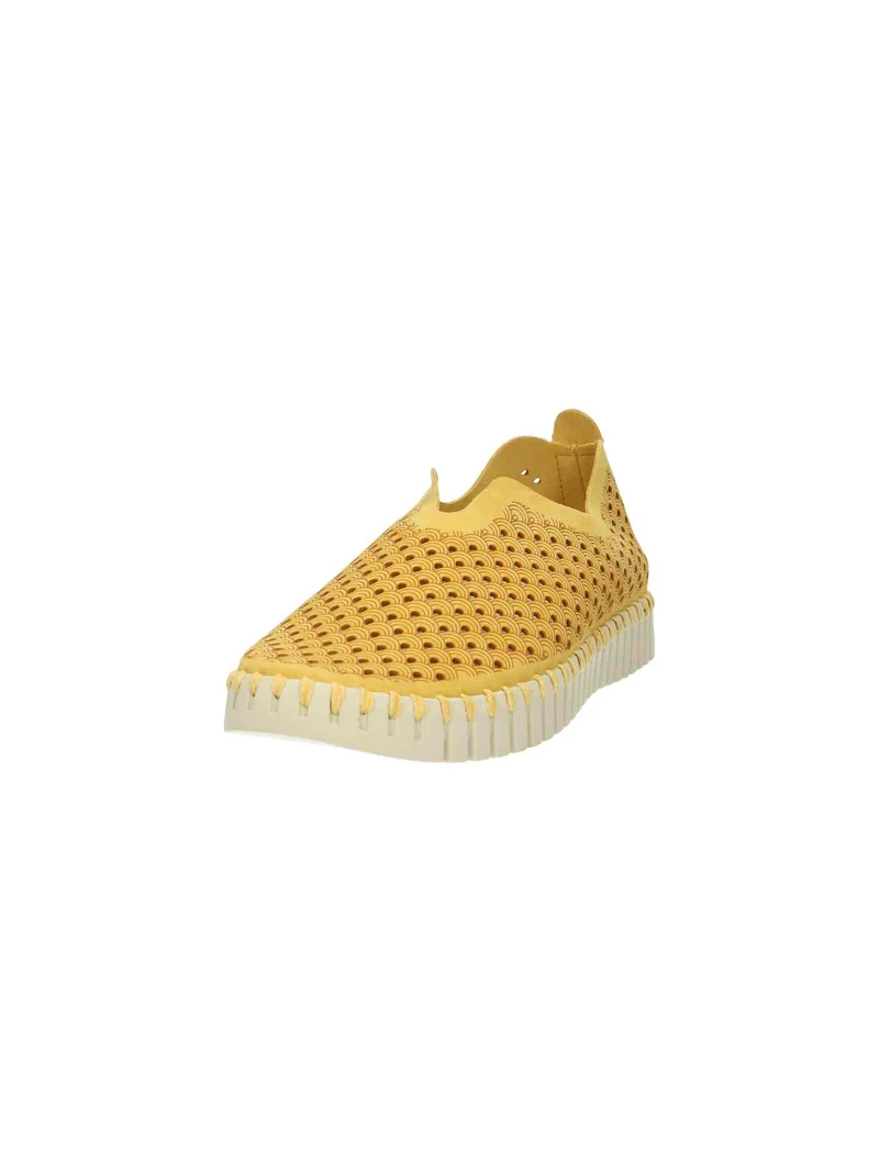 Flats Tulip golden rod