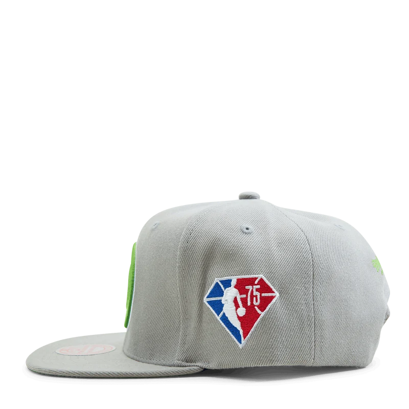 Hawks 75th Snapback