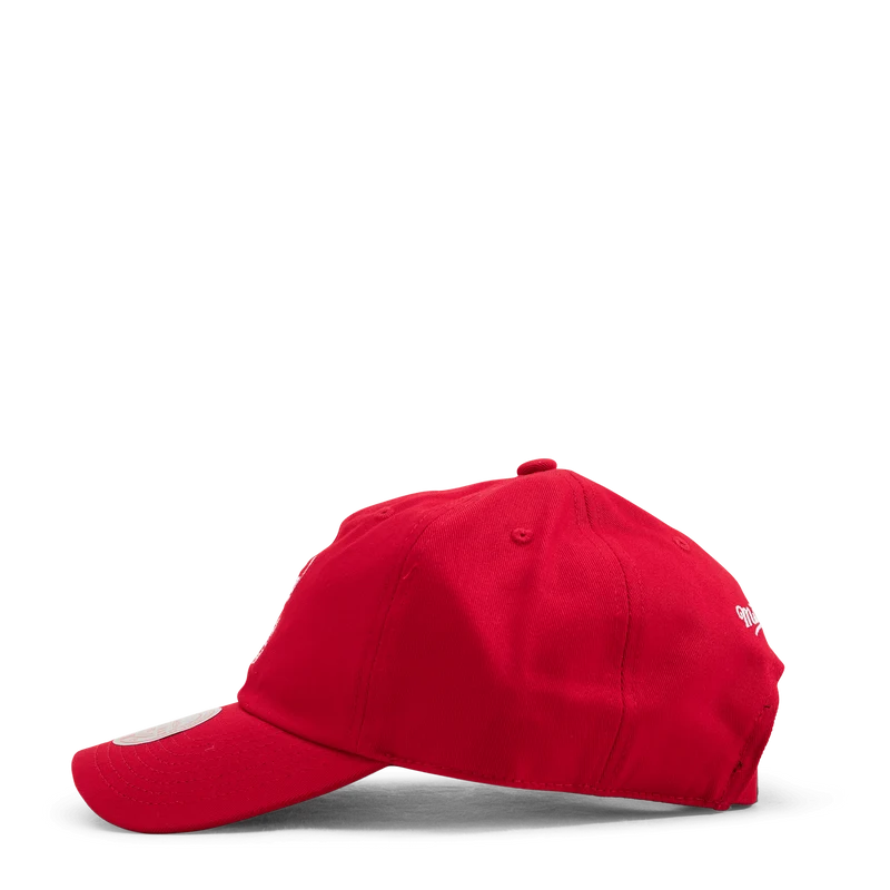 Bulls Team Ground 2.0 Dad Strapback