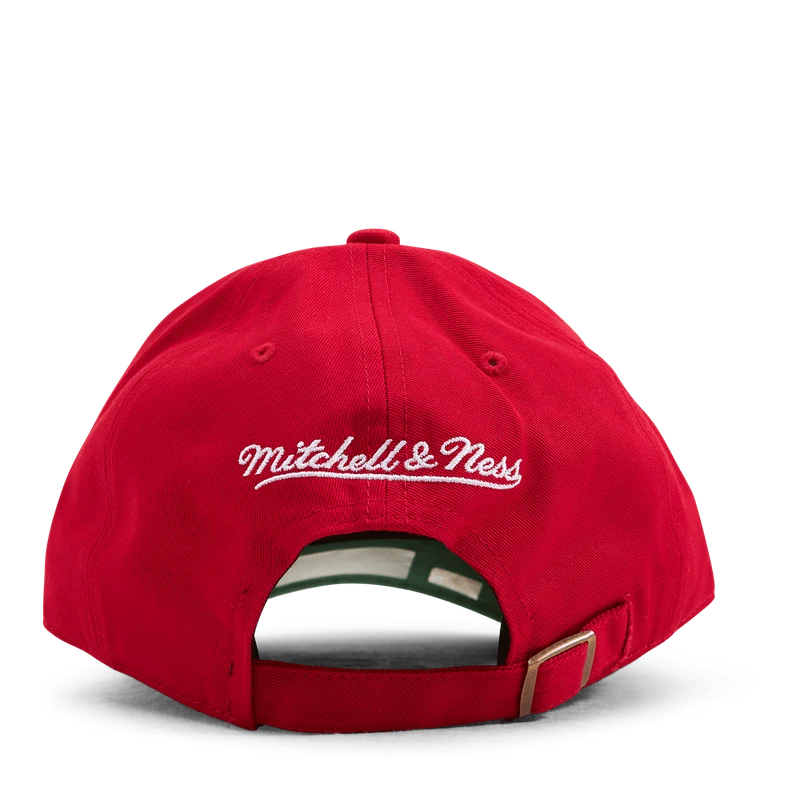 Bulls Team Ground 2.0 Dad Strapback