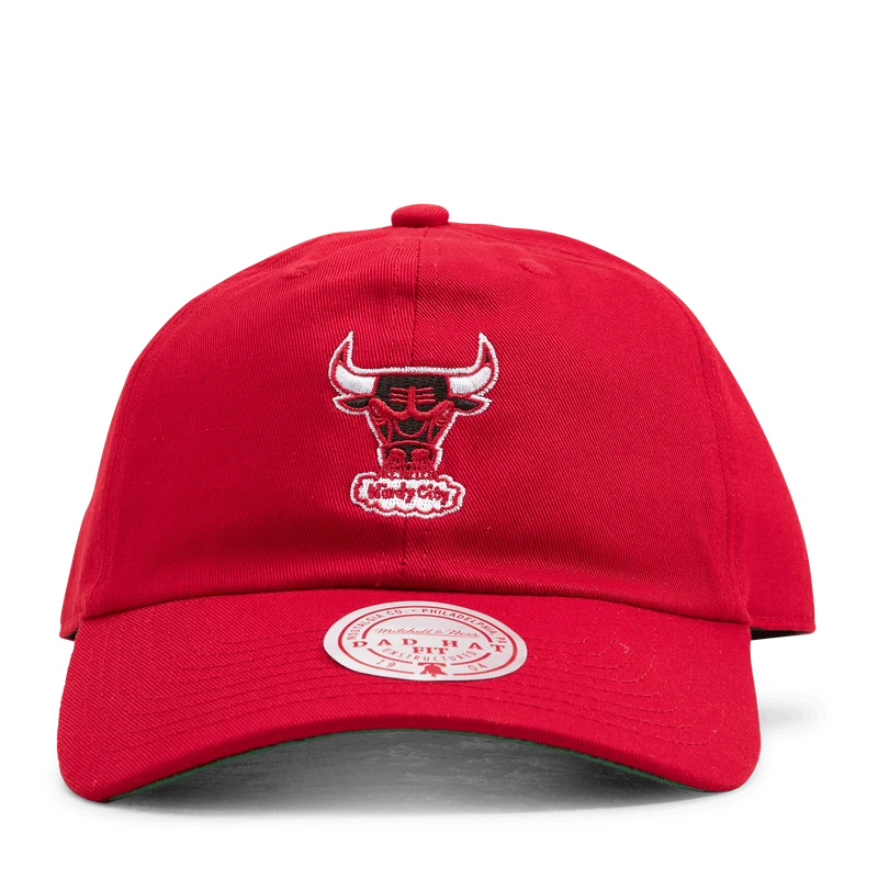 Bulls Team Ground 2.0 Dad Strapback