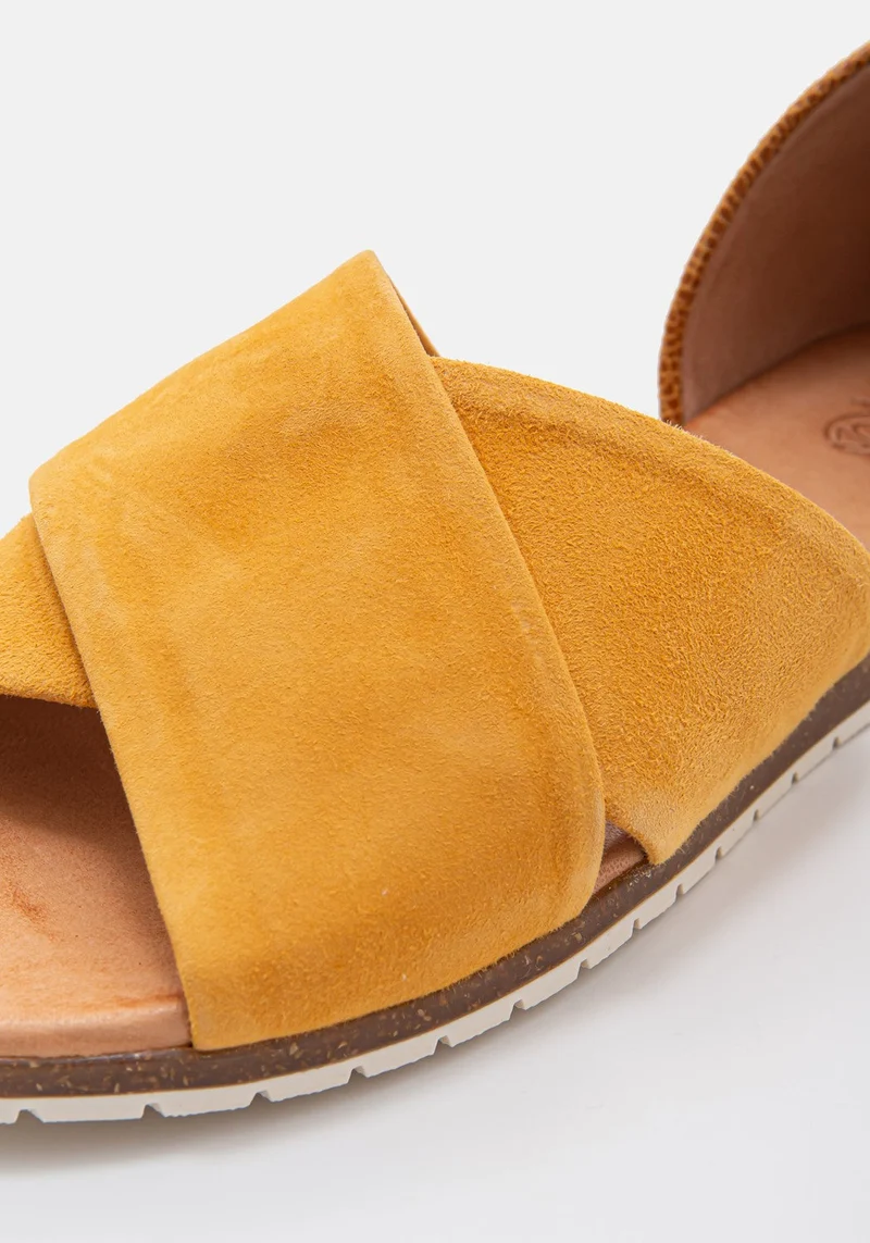 Chiusi 40 camel
