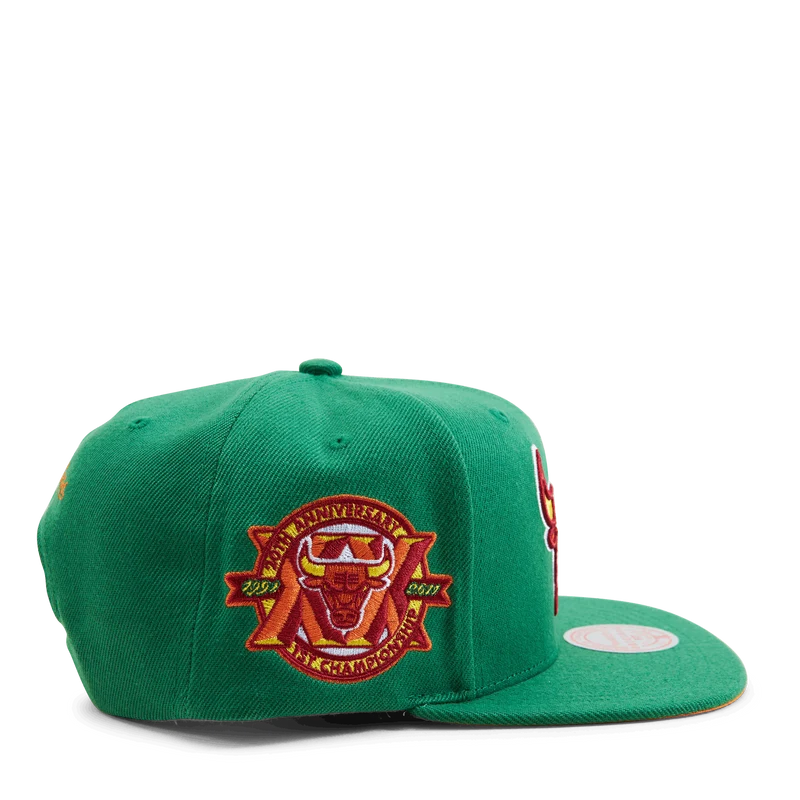 Bulls "Like Mike" Snapback NBA