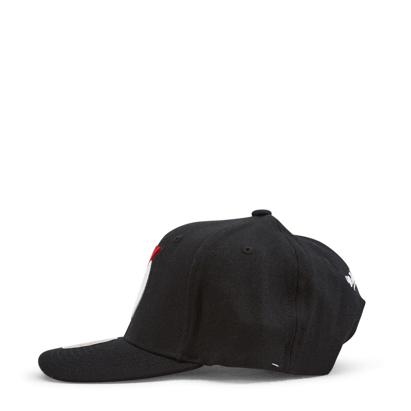 Team Ground 2.0 Stretch Snapback