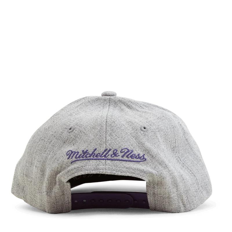 Team 2.0 Stretch Snapback
