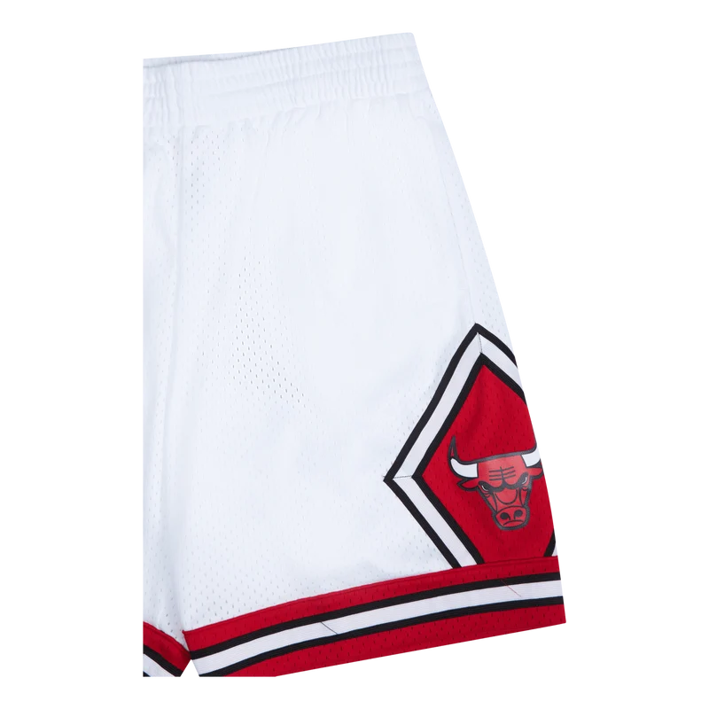 Bulls Swingman Shorts