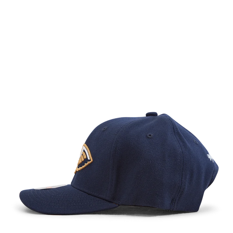 Pelicans Team Ground 2.0 Stretch Snapback