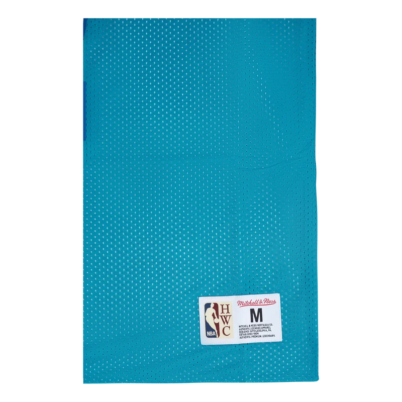 Reversible Mesh Tank - Larry Hornets