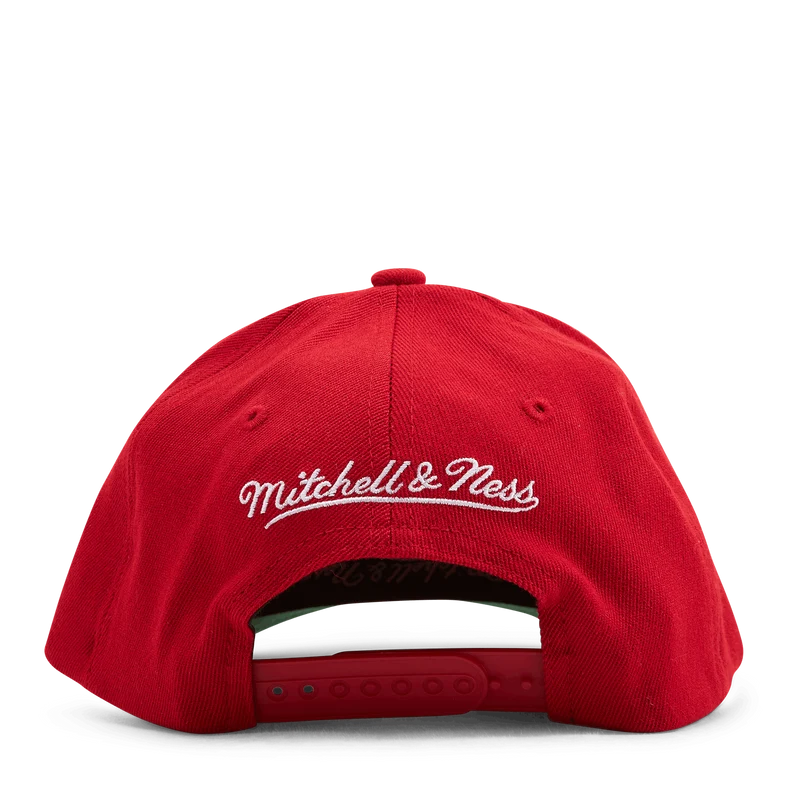 Heat Team Ground 2.0 Stretch Snapback HWC