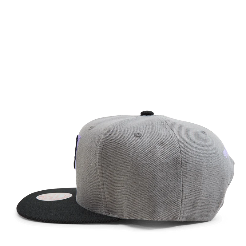 Suns Neon Lights Snapback HWC