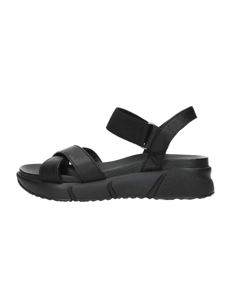 Rolly 1 black