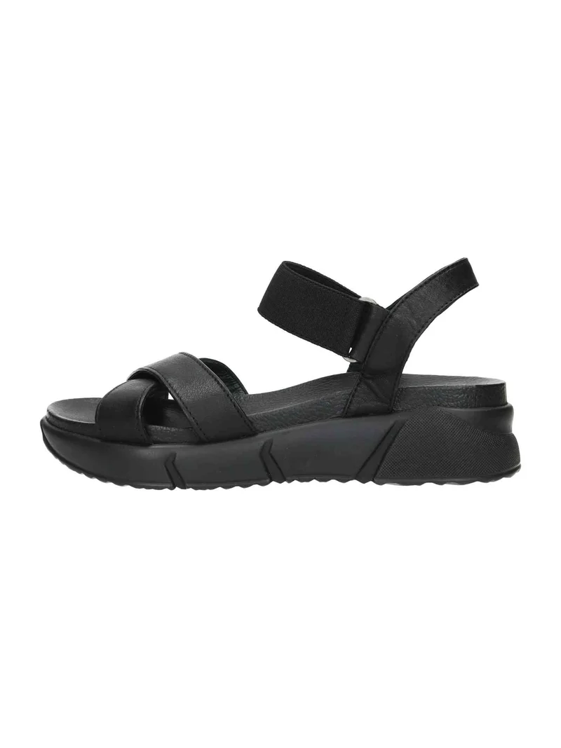 Rolly 1 black