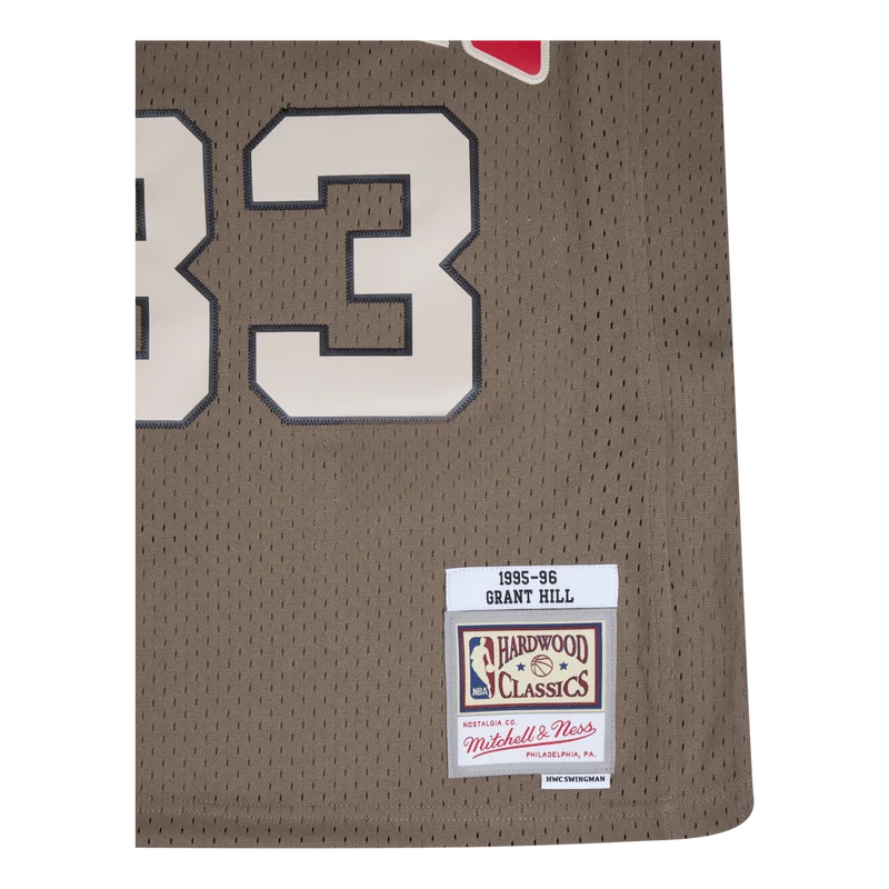 Pistons Astro Swingman Jersey - Grant Hill