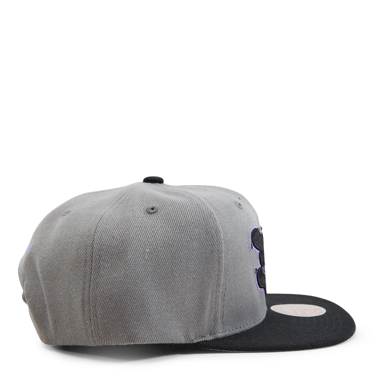 Hornets Neon Lights Snapback