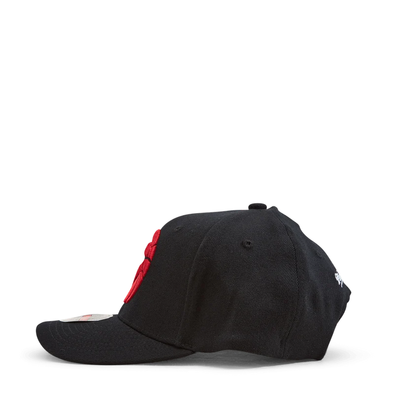 Raptors Team Ground 2.0 Stretch Snapback