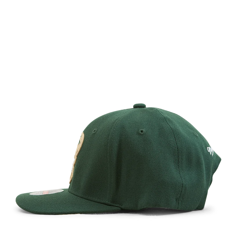 Bucks Team Ground 2.0 Stretch Snapback