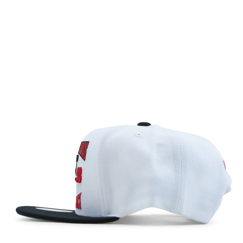Bulls Back To 93 Snapback