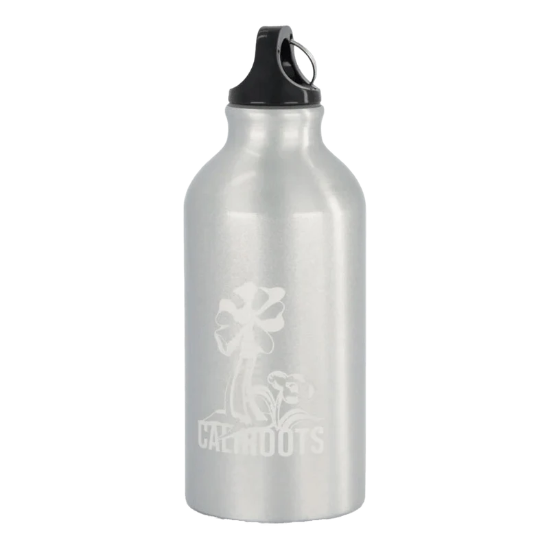 Cali Xx Waterbottle X Almost F Silver