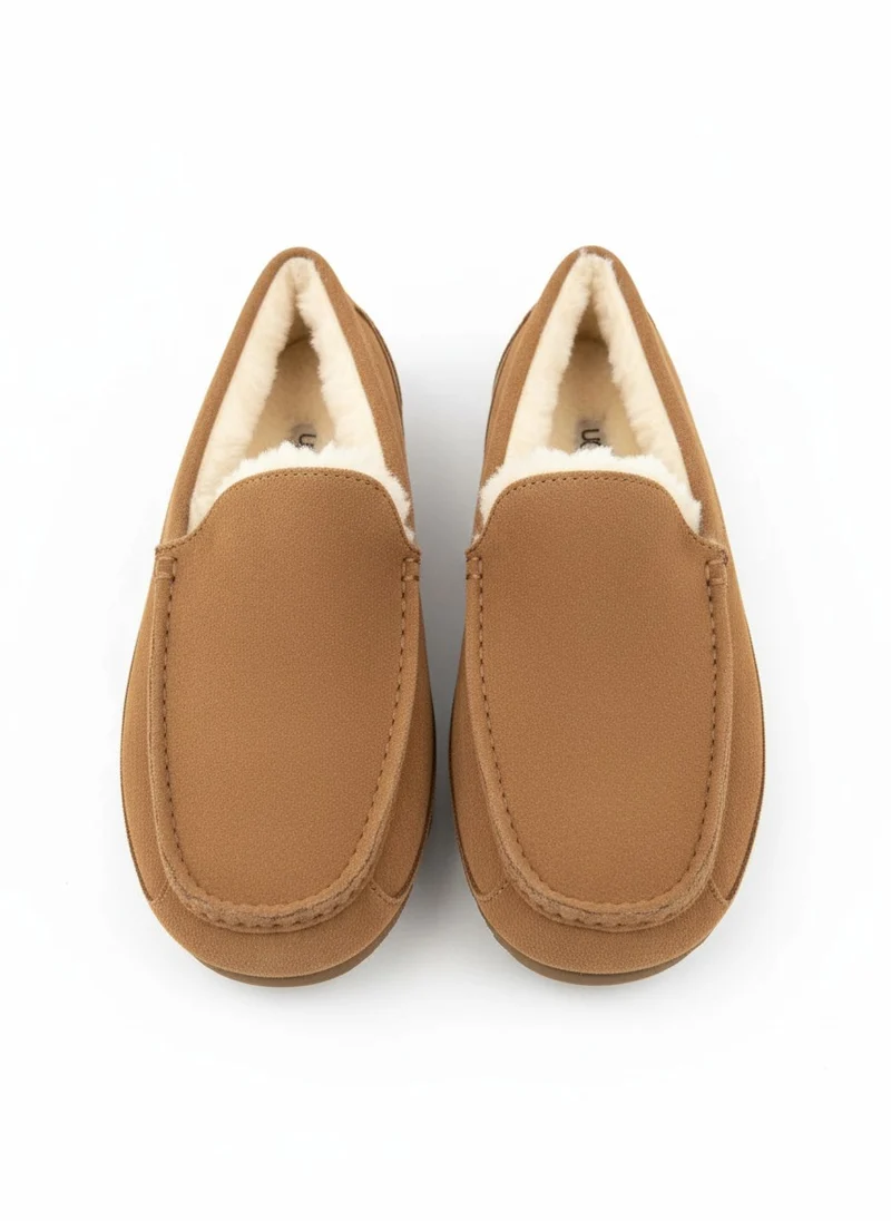 M Ascot chestnut