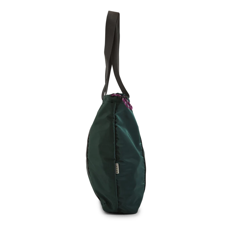 Flanker-evergreen Evergreen