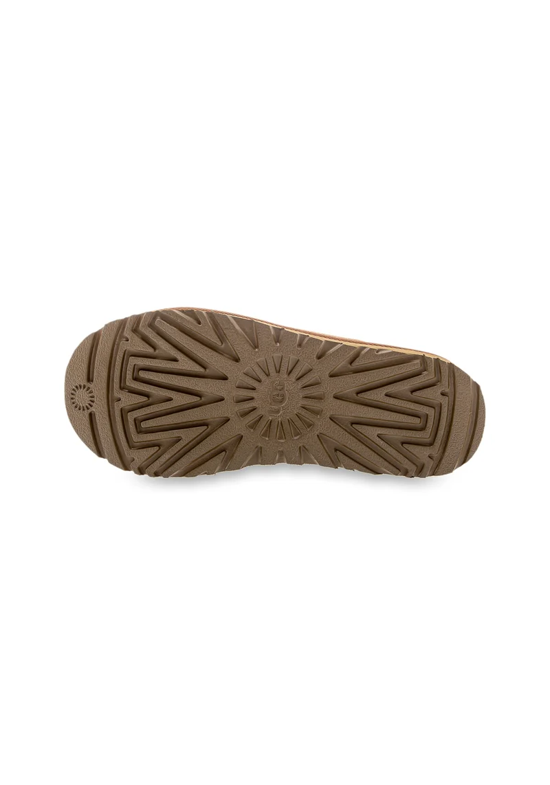 Tasman W chestnut
