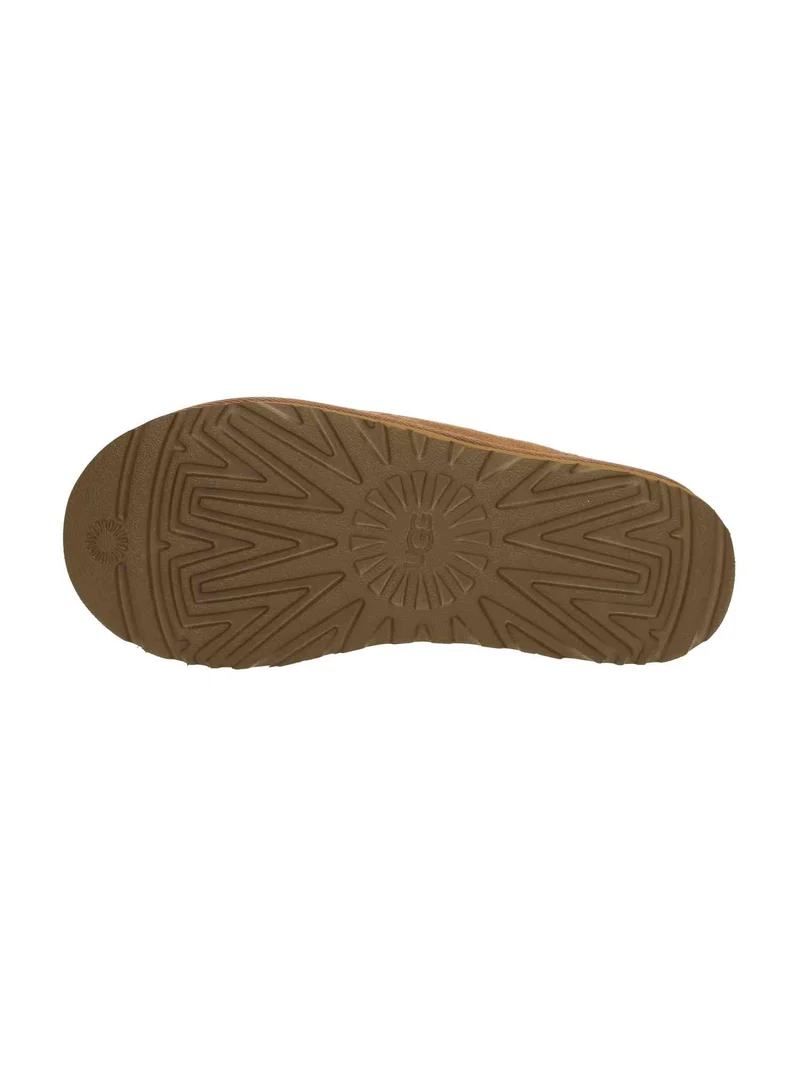 W Tasman Ii chestnut