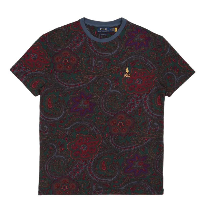 Classic Fit Paisley Mesh T-Shirt Paisley Print