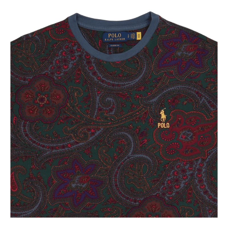 Classic Fit Paisley Mesh T-Shirt Paisley Print