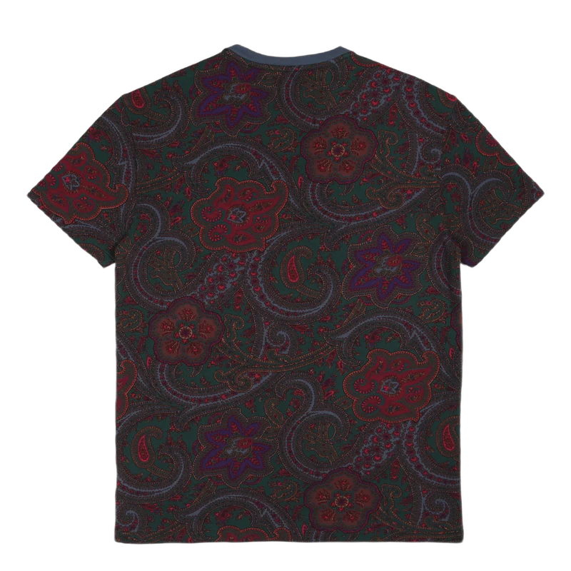 Classic Fit Paisley Mesh T-Shirt Paisley Print