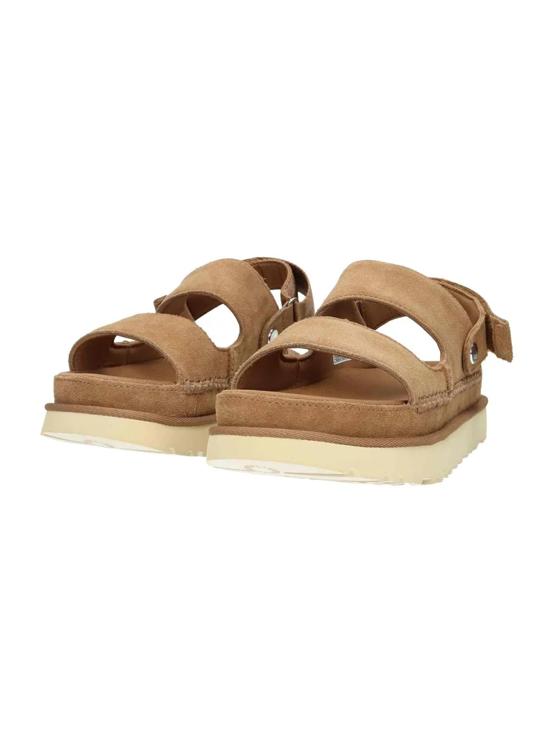 W Goldenstar Glide chestnut