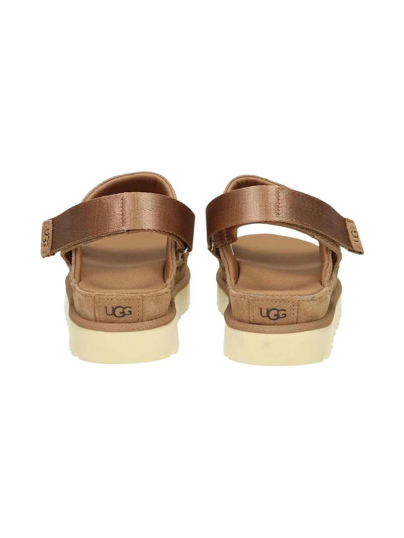W Goldenstar Glide chestnut