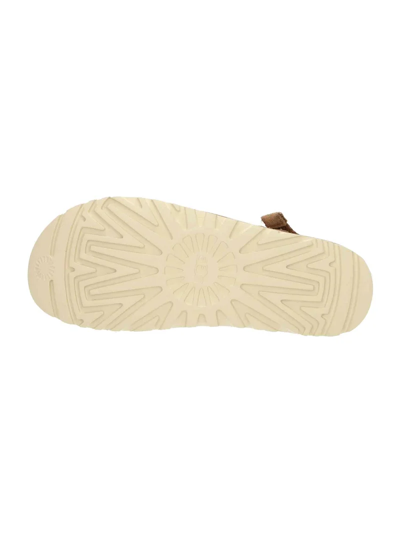 W Goldenstar Glide chestnut