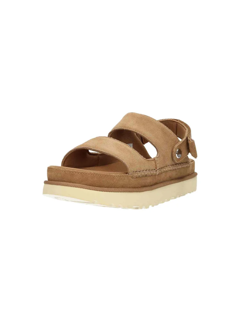 W Goldenstar Glide chestnut