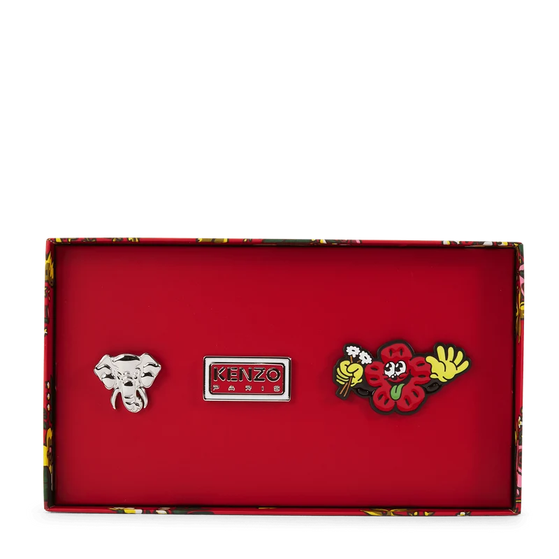 Pin/brooch Multicolor