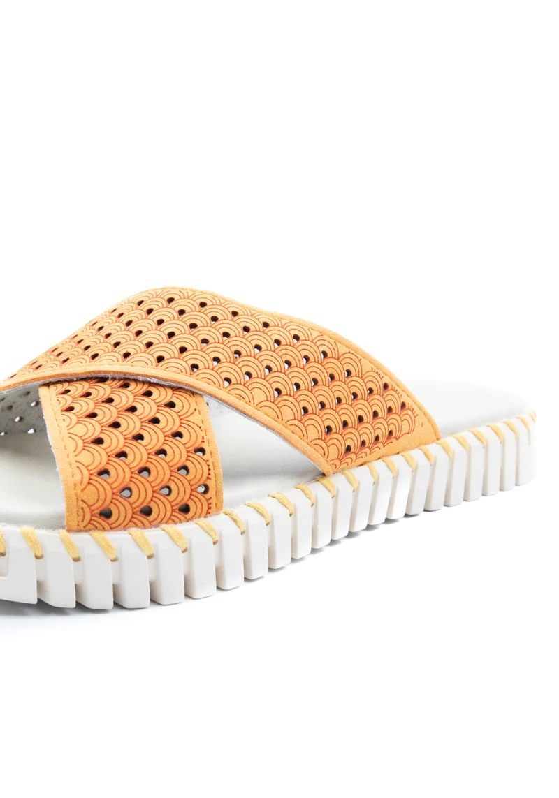 TULIP1575 Sandals mango sorbet
