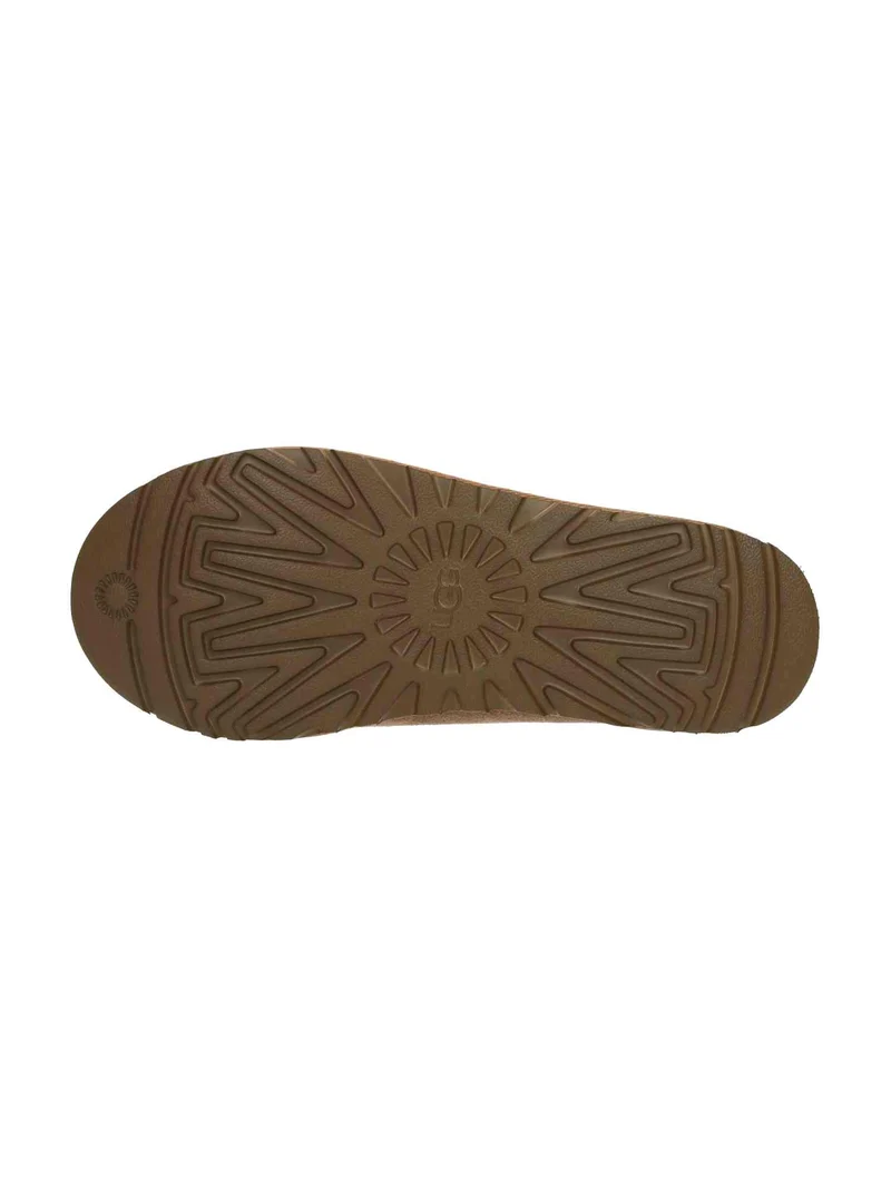 M Tasman Ii chestnut