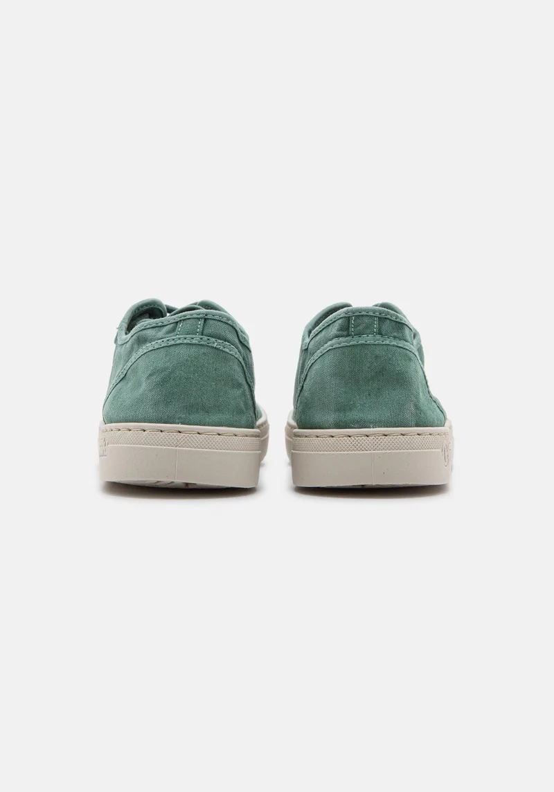 6602E Basket Enzimatico albahaca