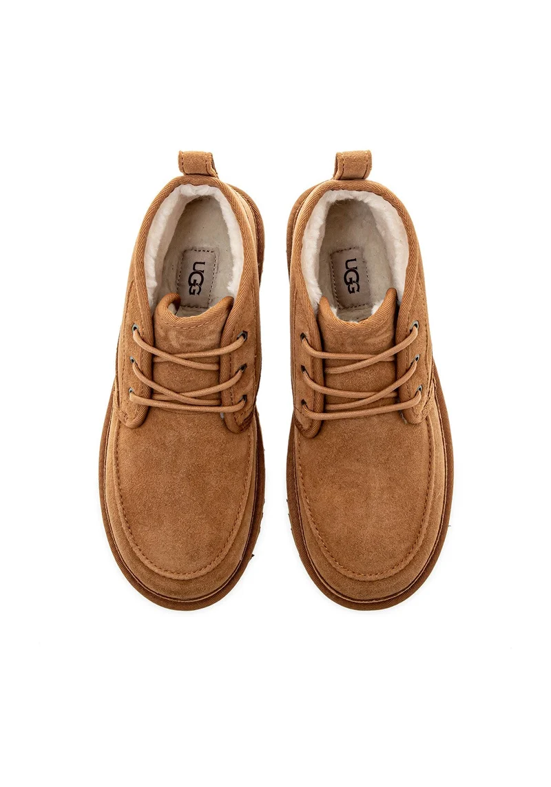 Neumel Moc chestnut